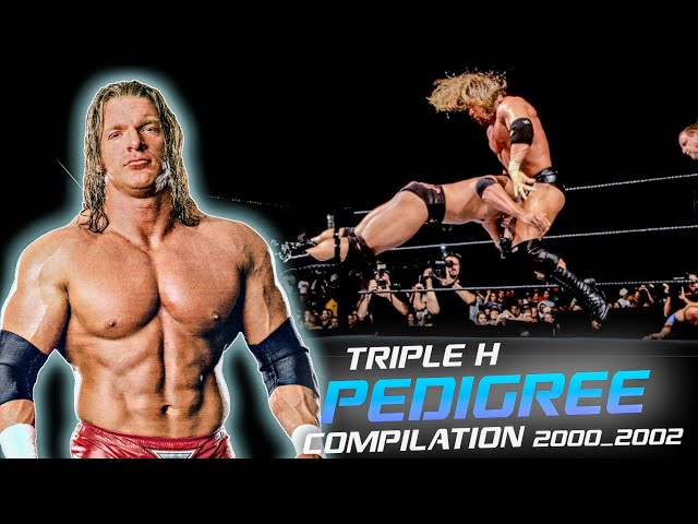 Triple H pedigree compilation 2000_2002