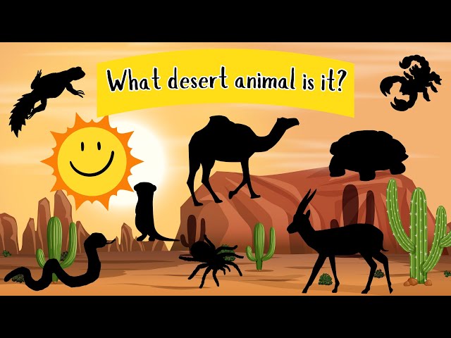 GUESS THE DESERT ANIMAL.