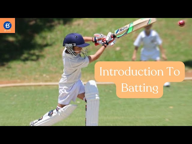 BIFF | Mastering Cricket | Beginner Batting | How To Drive, Cut, Pull Etc