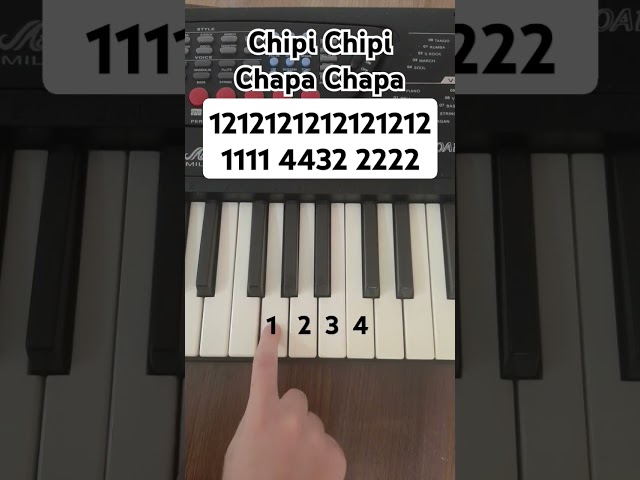 Chipi Chipi Chapa Chapa             (Piano Tutorial)