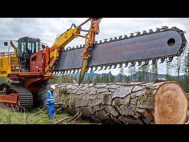 Amazing Powerful Chainsaw Felling Tree Machines in Action, Biggest Heavy Equipment Machines