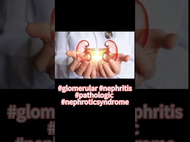 #nephritis  #pathological  #nephroticsyndrome