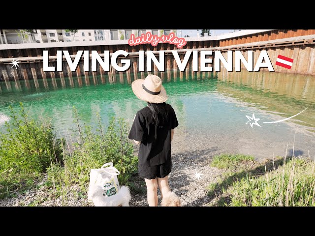 Vienna Vlog 🇦🇹 Outdoor Adventures, Rock Climbing & Puppy’s First Swim