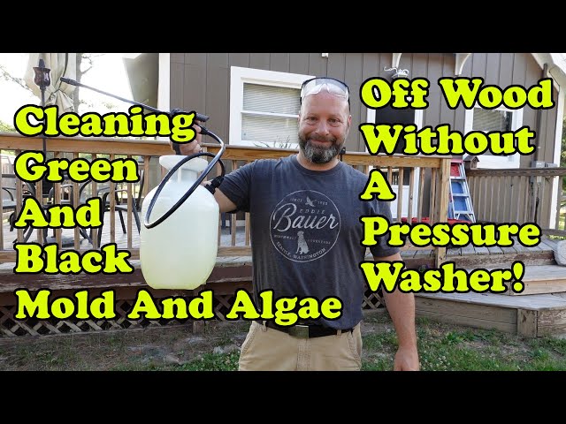 Cleaning Black And Green Algae And Mold Off Wood With Out A Pressure Washer
