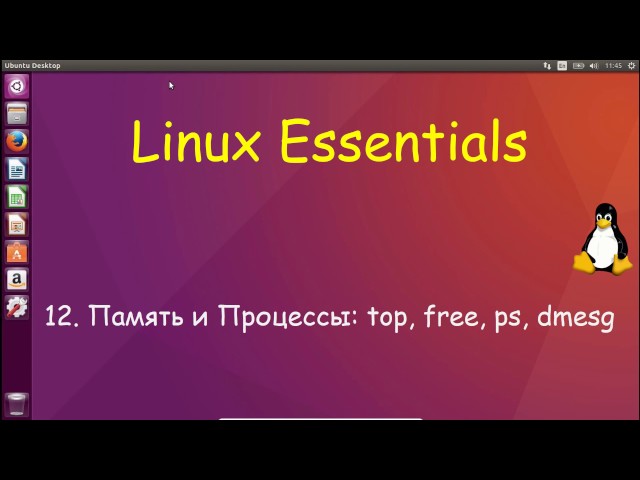 Linux для Начинающих - Процессы и Память: top, free, ps