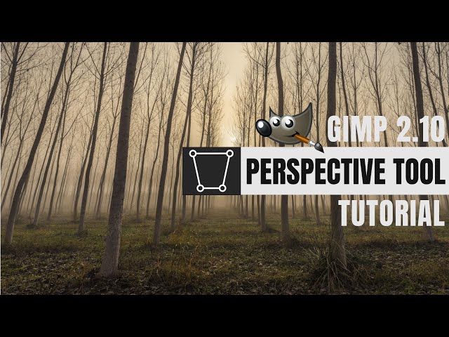 Perspective Correction Using GIMP 2.10. Tutorial