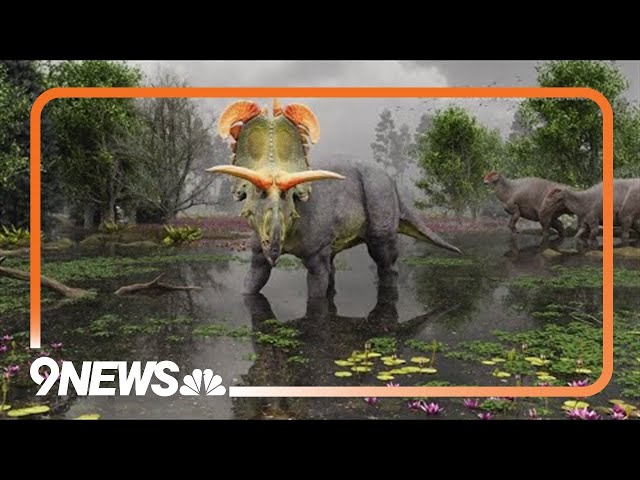 Newly discovered dinosaur has Colorado ties