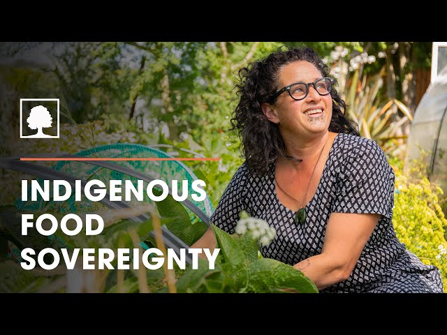 Building Indigenous Food Sovereignty with the Hua Parakore Organic Framework