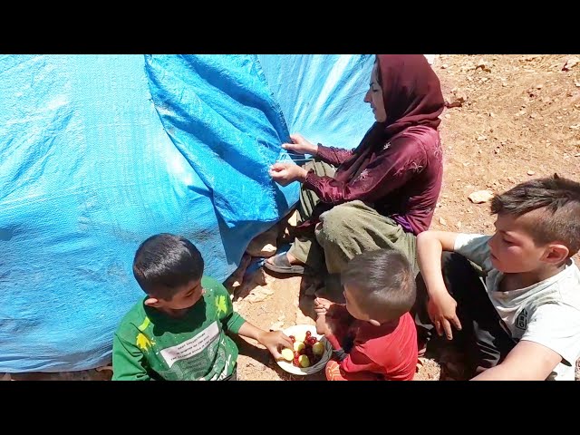 Nomadic Life: Nomadic Widow & Her Children Continue Building Their Home 🏠💪