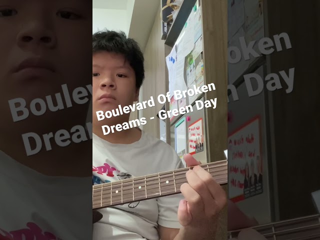Boulevard Of Broken Dreams - Green Day (Short Acoustic Cover)