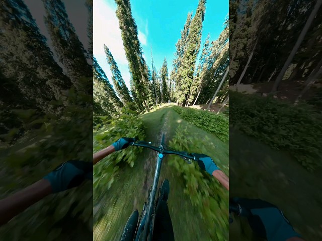 Crash! 😬 | Downhill in Kashmir Pov with #insta360 X2