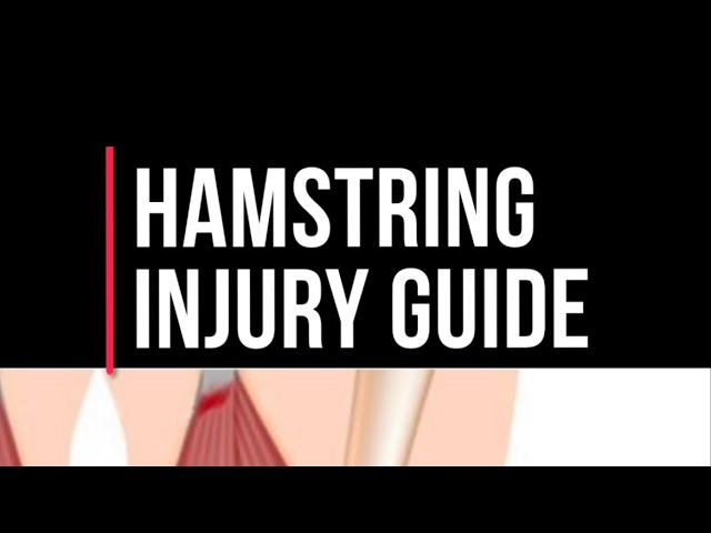 Hamstring Injury Guide