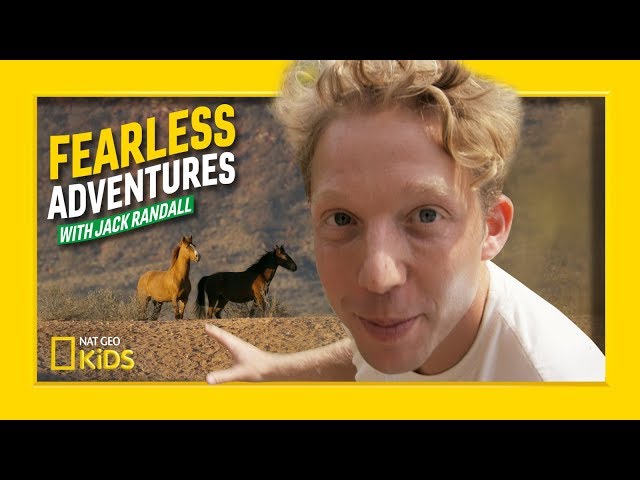 Rescuing Wild Australian Horses | Fearless Adventures with Jack Randall