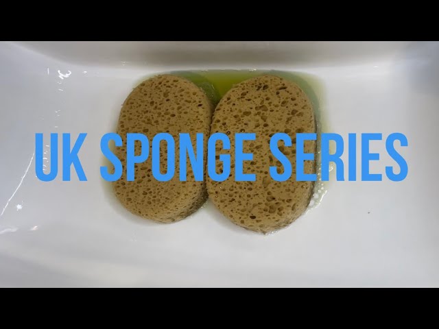 ASMR Soapy Sponge Squeezing: UK Sponge Series Part 1