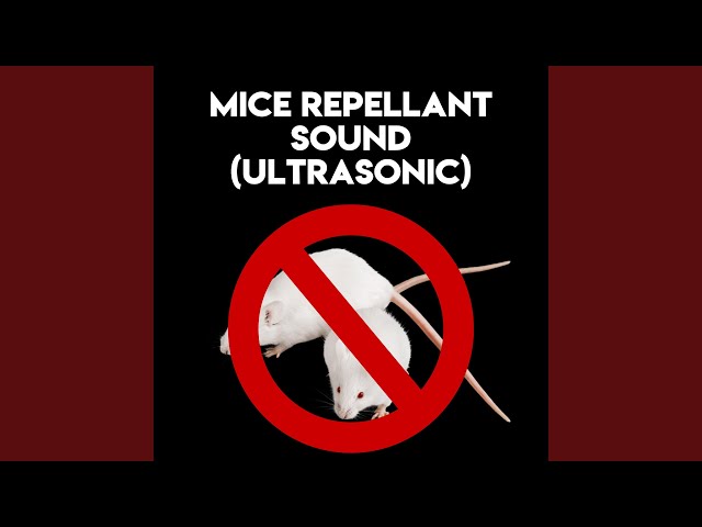 Mice Repellant Sound (Ultrasonic) , Pt. 12