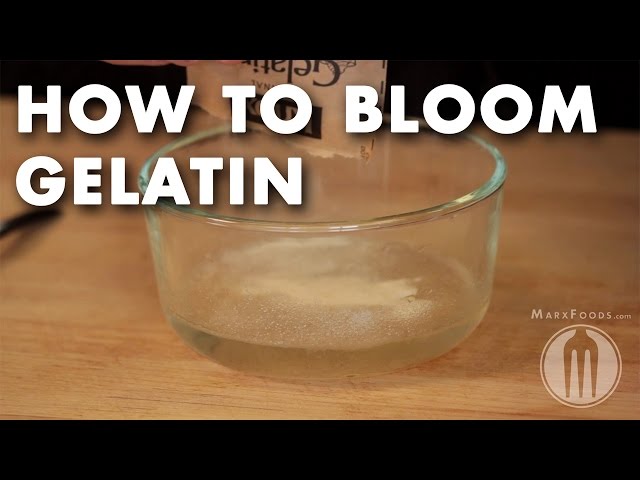 How to Bloom Gelatin - Tutorial Video