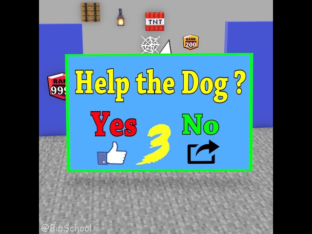 Choose The Item That Can Cover For The Dog To Get Rank 9999 And Rescue The Baby Dog 👍️