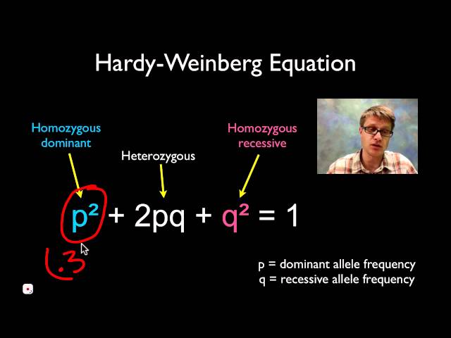 Solving Hardy Weinberg Problems