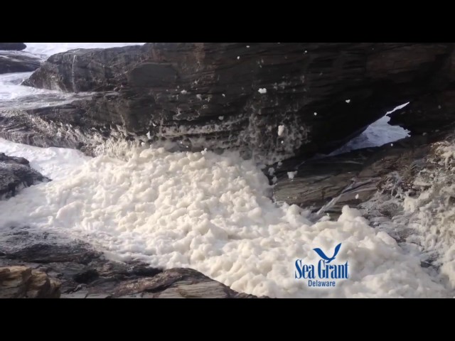 15 Second Science - Sea foam