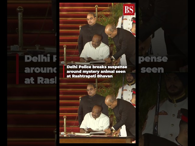 Delhi Police ends mystery over animal spotted at Rashtrapati Bhavan #mystery #oathceremony