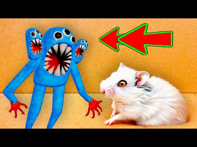 🐹 Prison Hamster Maze with Traps 😱[OBSTACLE COURSE]😱+Monsters