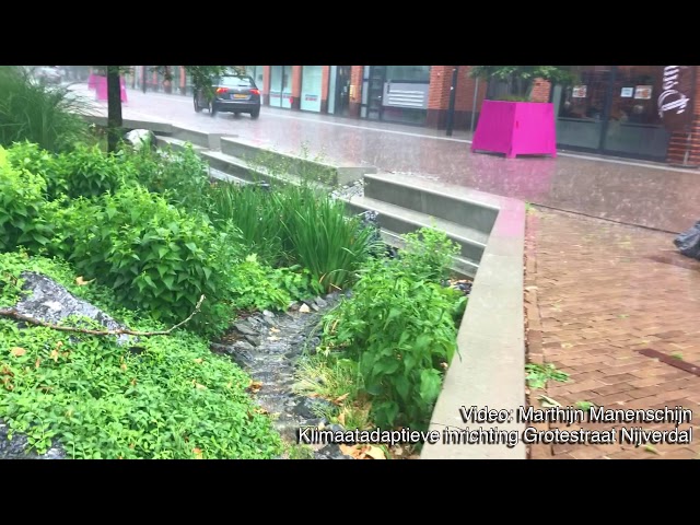#raingarden Nijverdal tijdens neerslag #regenwatertuin #klimaatadaptatie