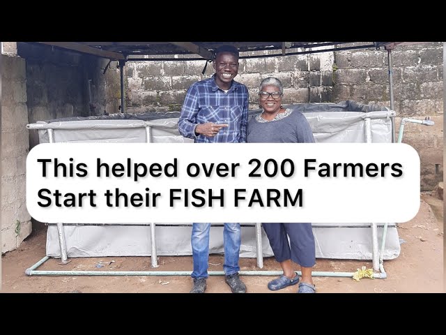 How to start a small scale fish farm from your house in Nigeria: 3 options #fishfarm #fish