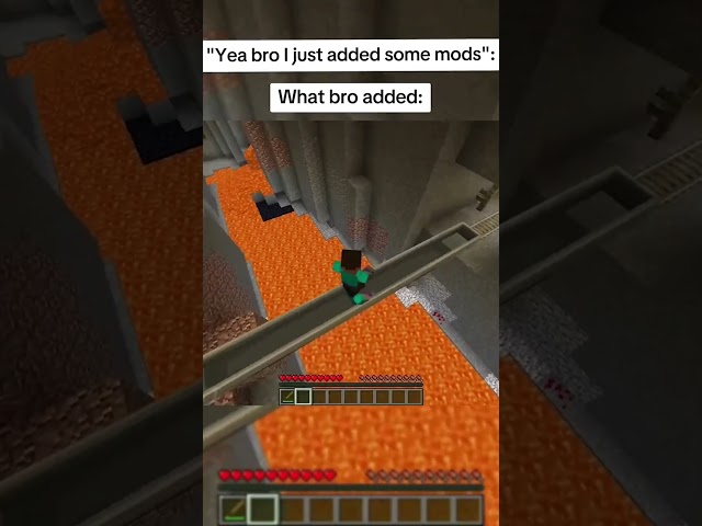 When Bro Adds Some Mods To The Server...