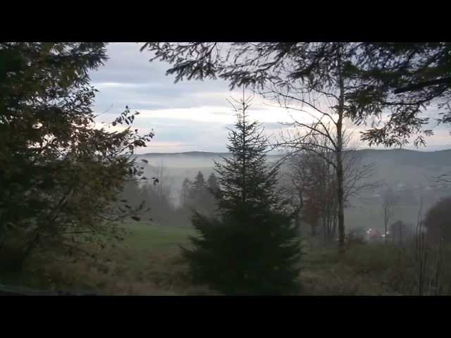 Trailer "Der Schwarzwald"
