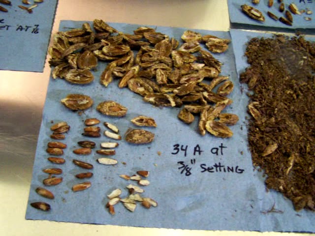 Part 2:  Cracking Nuts from Dubai, U.A.E.N.