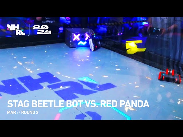 NHRL 2024 March, 3lb Quarter-Final: Stag Beetle Bot vs Red Panda