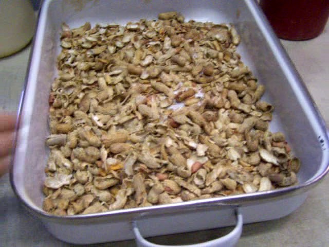 Patriot 600 and Adjustable Patriot Nutcrackers processing in shell Peanuts