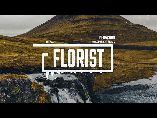 Documentary Cinematic Violin by Infraction [No Copyright Music] / Florist