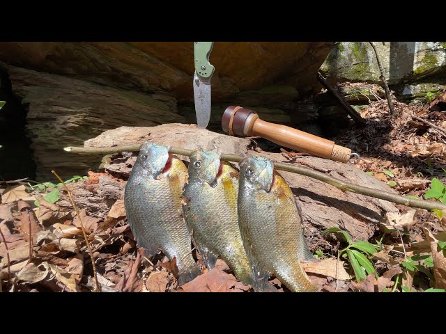 Bluegill CATCH AND COOK at hidden MOUNTAIN CAVE! Bushcraft fishing trip!