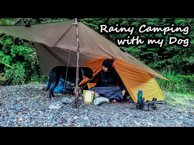 Tent Camping with my Dog in RAIN  [Ultimate River Campsite!]