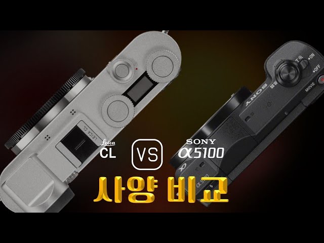 Leica CL 와 Sony A5100 의 사양 비교