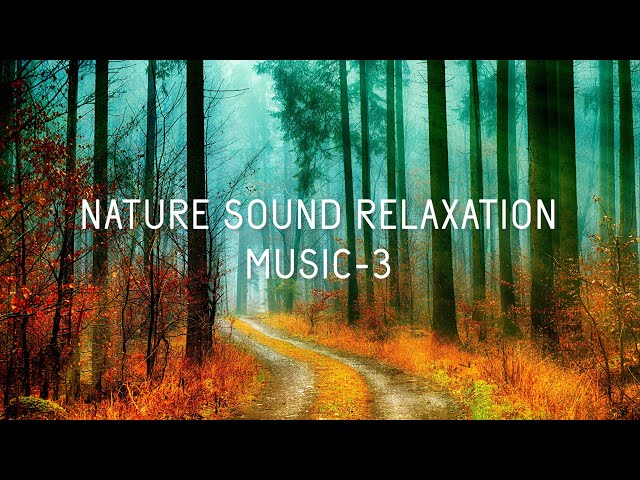 Mountain talk with nature full HD 4k relaxing music to heal mind and soul | Deep sleep relaxation