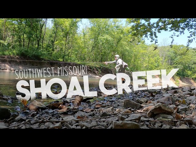 Chasing Smallmouth on Shoal Creek in Southwest Missouri