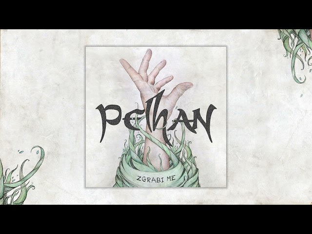 PELHAN - Ne grem domov (Official audio)