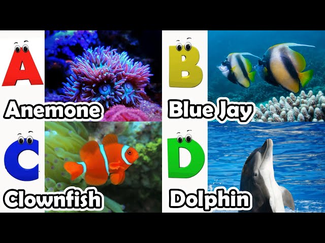 ABC phonics animals | ABC Sea Animals song | English and Animals for Kids | Alphabets Kids Song