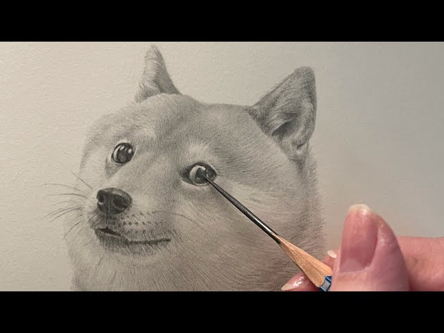 Drawing of Doge