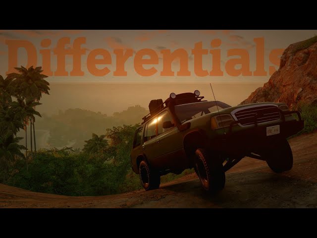 Why do we need differentials? Let's find out!
