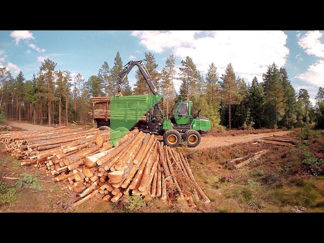 VR-film om skogsbruk