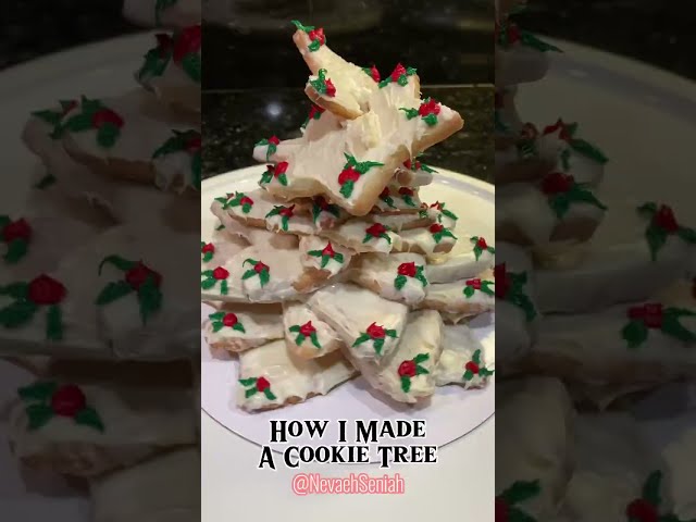 Cookie Episode 8: I Built A Christmas Star Cookie Tree