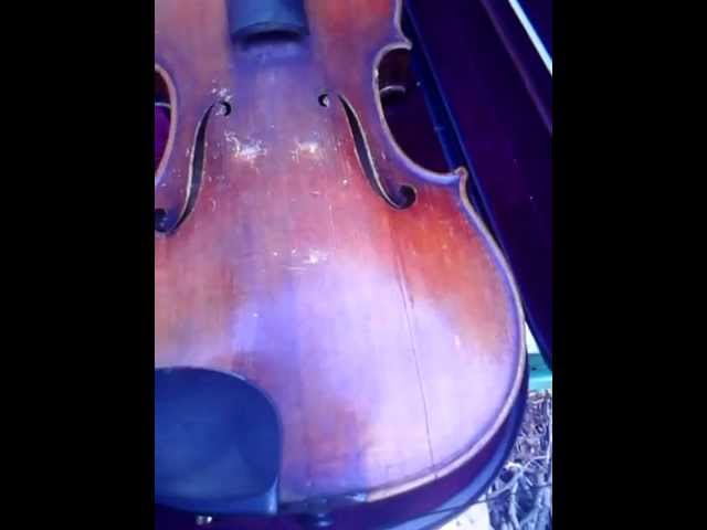 Stradivarius Violin? Maybe?