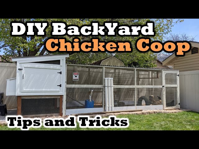 DIY Backyard Chicken Coop - Our Tips and Tricks - ONE YEAR LATER!