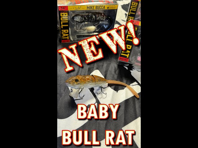 NEW PRODUCT ALERT!! The Baby Bull Rat (A Bull Shad x CatchCo. Collab)