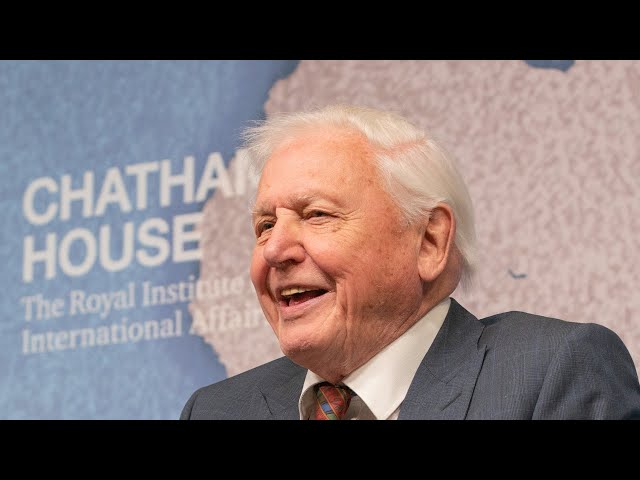 Chatham House Prize 2019: Sir David Attenborough and BBC Studios Natural History Unit