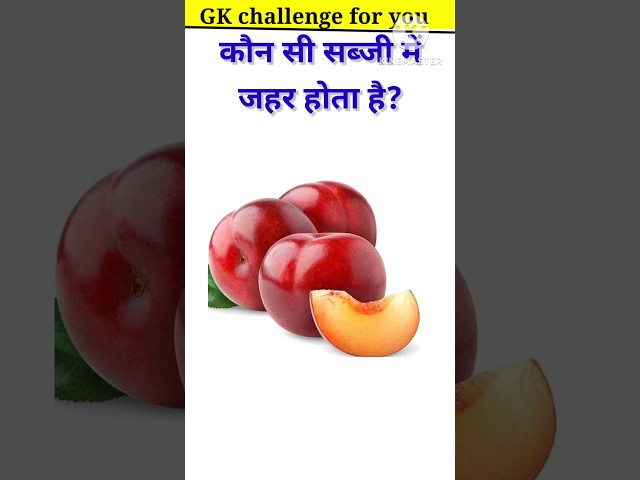 Gk Questions 💥💯Gk In Hindi | Gk Quiz || Gk Question and Answer #gkstudy50k #bmgkstudy #gkfacts #gkq