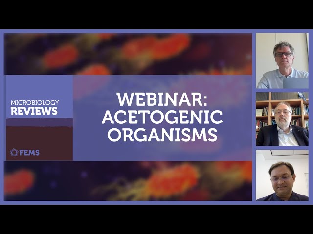 FEMS Microbiology Reviews Webinar on Acetogenic Organisms